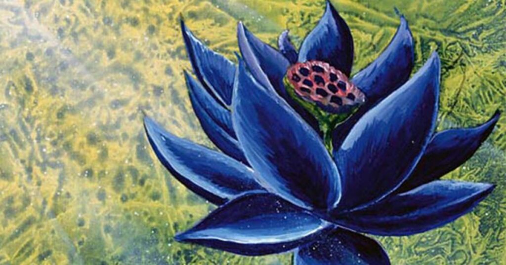 Black Lotus: La Collezione di Carte da Gioco più Preziosa al Mondo 3 - nerd stark black lotus 2 - nerd stark