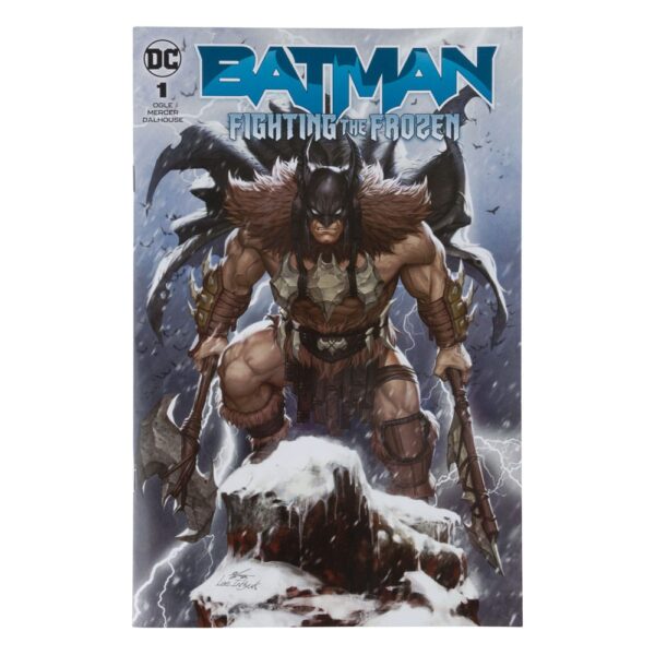 DC Action Figure e Fumetto Batman Fighting The Frozen Comic 18 cm Nerd Stark